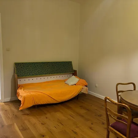 Modern Spacious Łódź